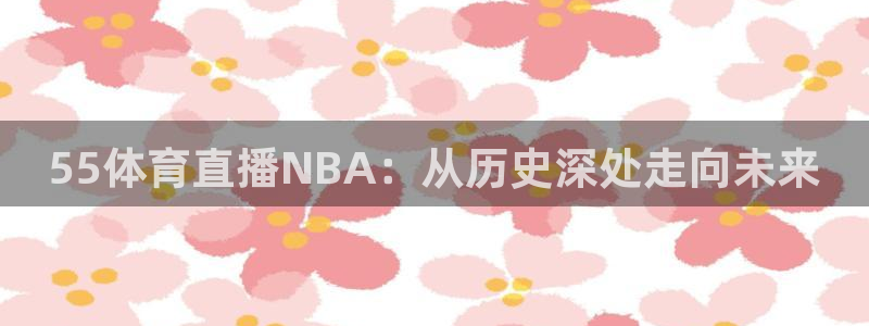 柠檬体育直播网是哪个：55体育直播NBA：从历史深处走向未来
