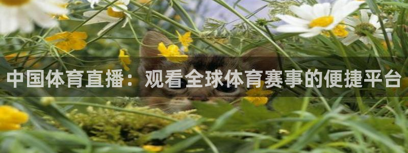 柠檬体育在线直播：中国体育直播：观看全球体育赛事的便捷平台