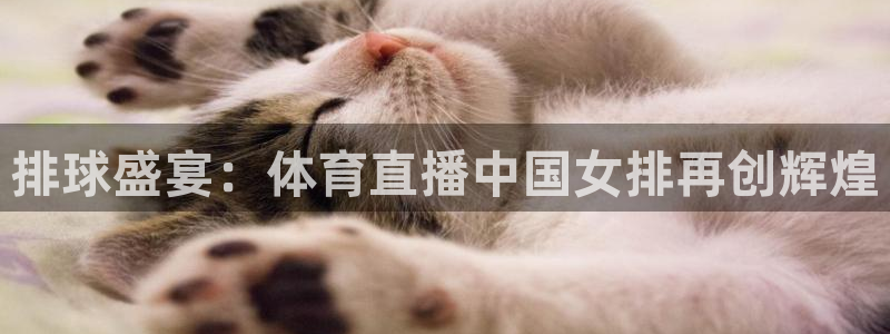 足球直播柠檬：排球盛宴：体育直播中国女排再创辉煌