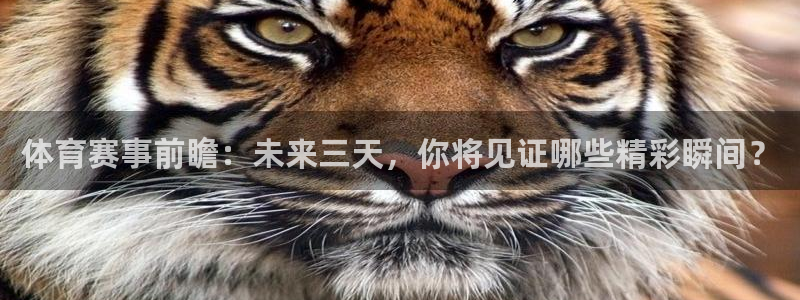 柠檬体育足球视频直播：体育赛事前瞻：未来三天，你将见证哪些精彩瞬间？