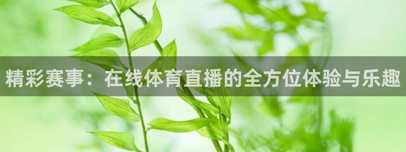 柠檬体育直播篮球：精彩赛事：在线体育直播的全方位体验与乐趣