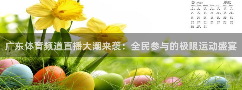 柠檬直播足球高清免费直播：广东体育频道直播大潮来袭：全民参与的极限运动盛宴