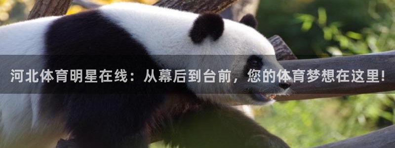 柠檬足球赛事直播：河北体育明星在线：从幕后到台前，您的体育梦想在这里!