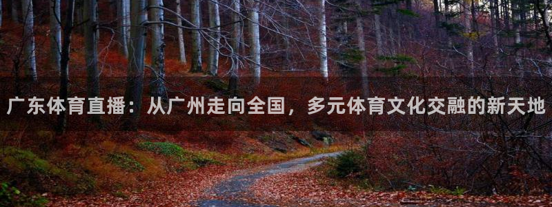 柠檬直播：广东体育直播：从广州走向全国，多元体育文化交融的新天地