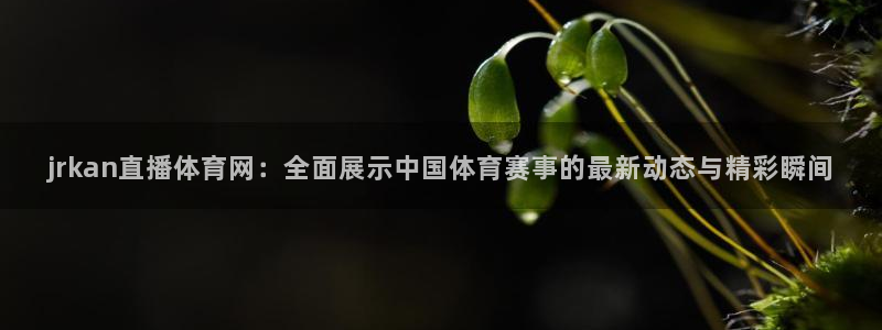 足球柠檬免费直播：jrkan直播体育网：全面展示中国体育赛事的最新动态与精彩瞬间