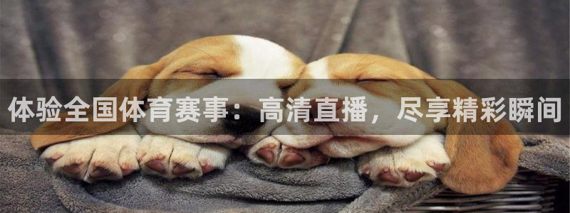 柠檬直播体育篮球：体验全国体育赛事：高清直播，尽享精彩瞬间