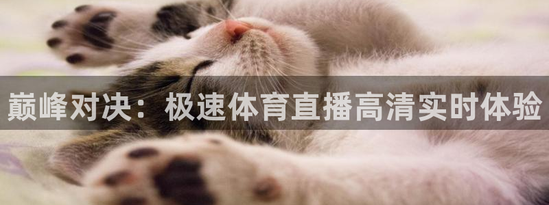 柠檬免费足球直播：巅峰对决：极速体育直播高清实时体验